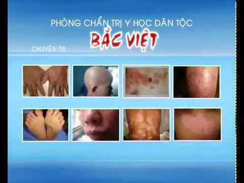 Video Chi nhánh Cần Thơ