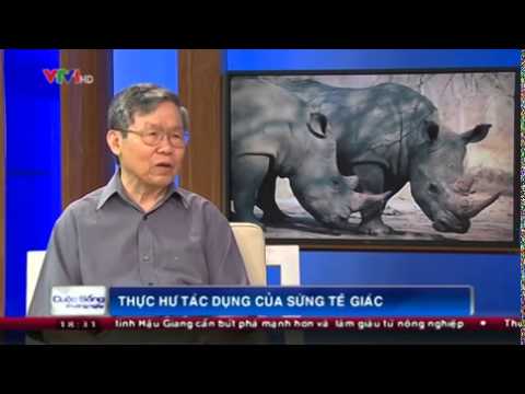 Thực hư về tác dụng cường dương của sừng tê giác